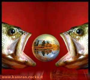 www.kamran.rocks.it
